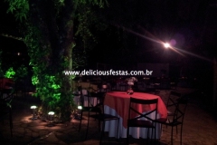 15anos268_n